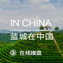 蓝城集团